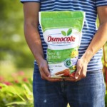 how to use osmocote fertilizer