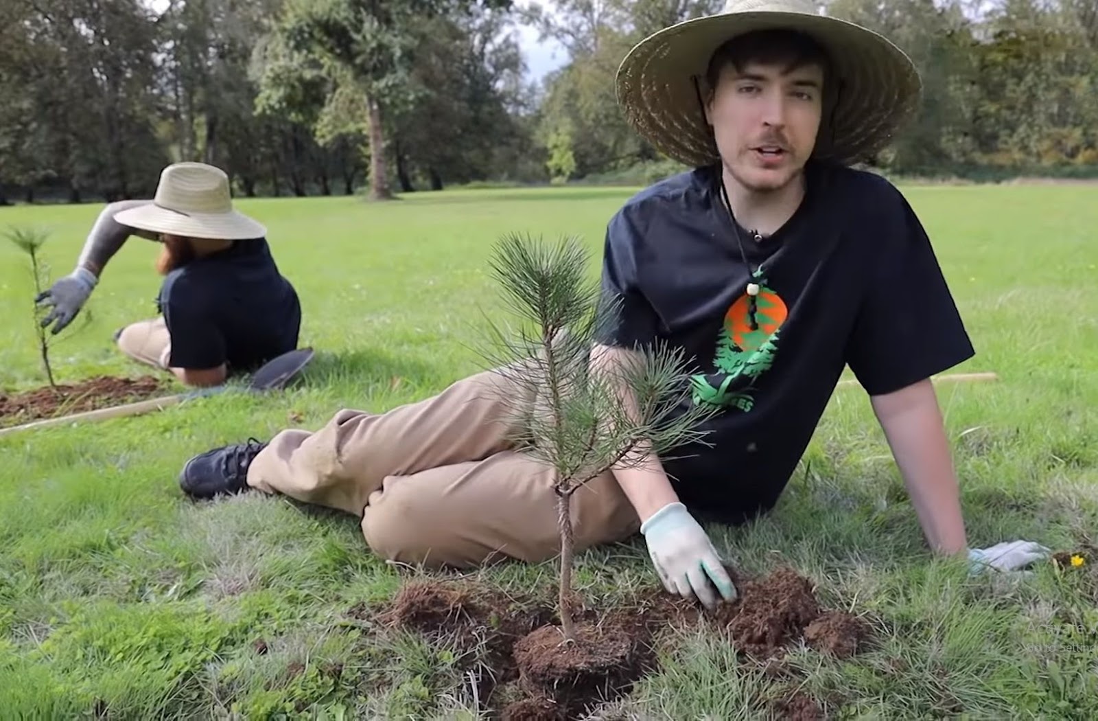 Mr Beast Planting Trees: The Real Reasons Exposed!