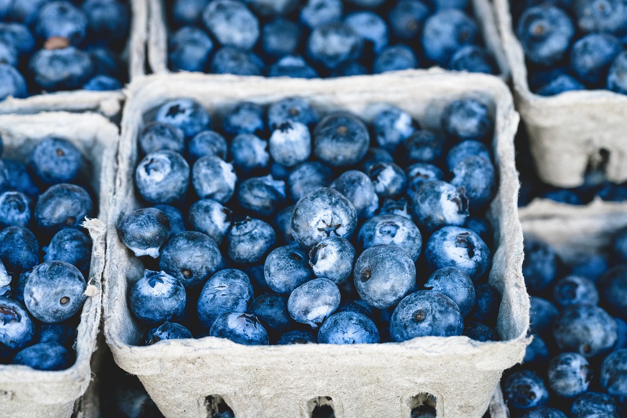 How to Make Soil Acidic for Blueberries